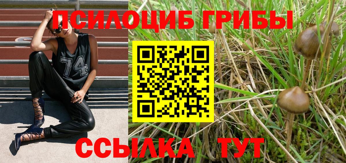 Дмитров  Псилоцибиновые грибы GOLDEN TEACHER  Псилоцибиновые грибы MAGIC MUSHROOMS  Вход с VPN 